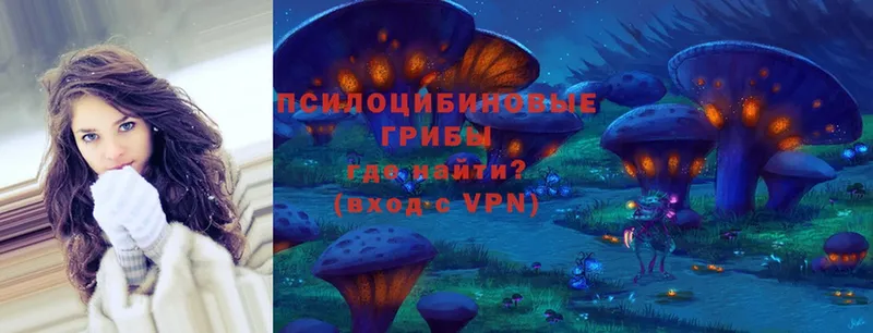 Псилоцибиновые грибы Psilocybe  даркнет сайт  Кадников 